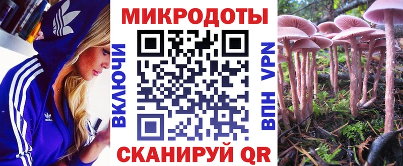 Галлюциногенные грибы GOLDEN TEACHER Верхняя Салда
